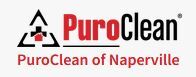 PuroClean Water & Fire Damage Restoration - Naperville