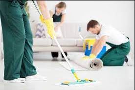 Pro-Clean Janitorial Services
