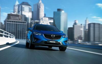Decoding the Drive: What to Look for When Buying Used Cars