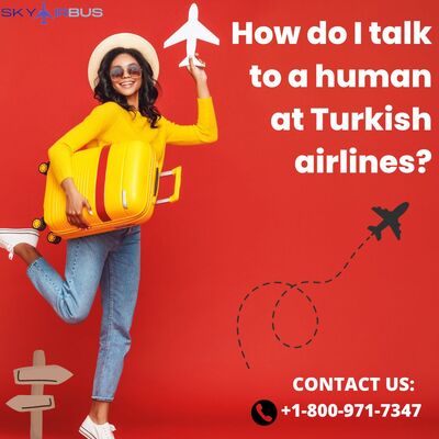 How do I talk to a human at Turkish airlines? | +1-800-971-7347