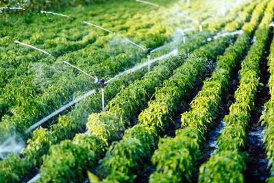Micro Irrigation Systems Market Size, Growth and Trends Report 